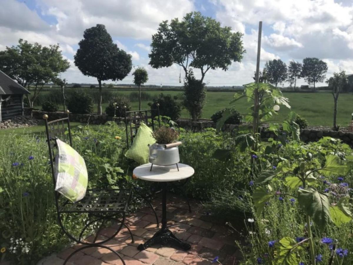 Ferienwohnung-Treeneblick Schwabstedt Экстерьер фото